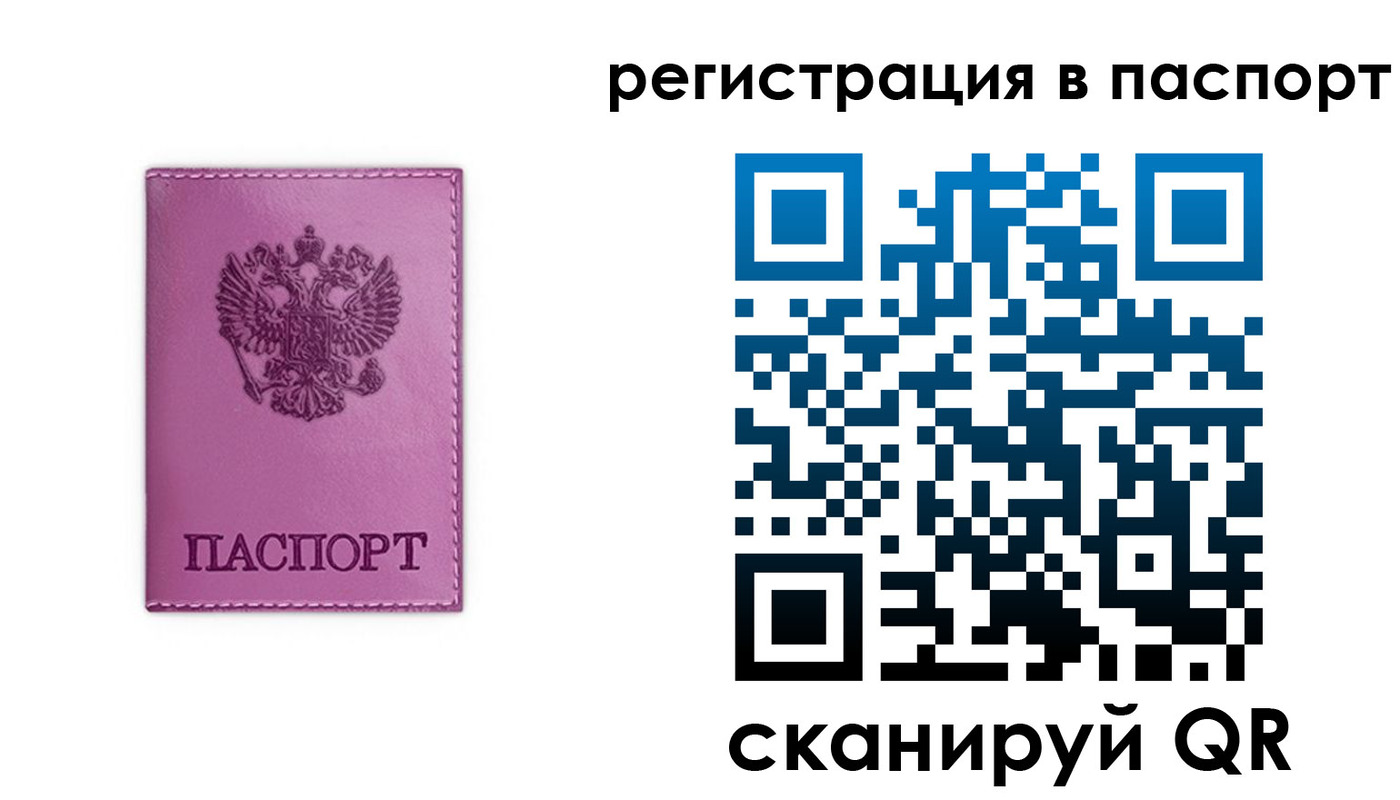 прописка в Мытищах